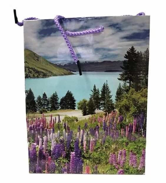 Пакет подарочный ламинированный(180x230x100мм) (Purple/Фиолетовый) - 1