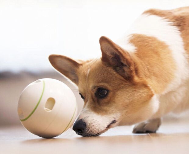Интерактивная игрушка Petgeek Automatic Ball Pet Toys Rolling (White) - 5